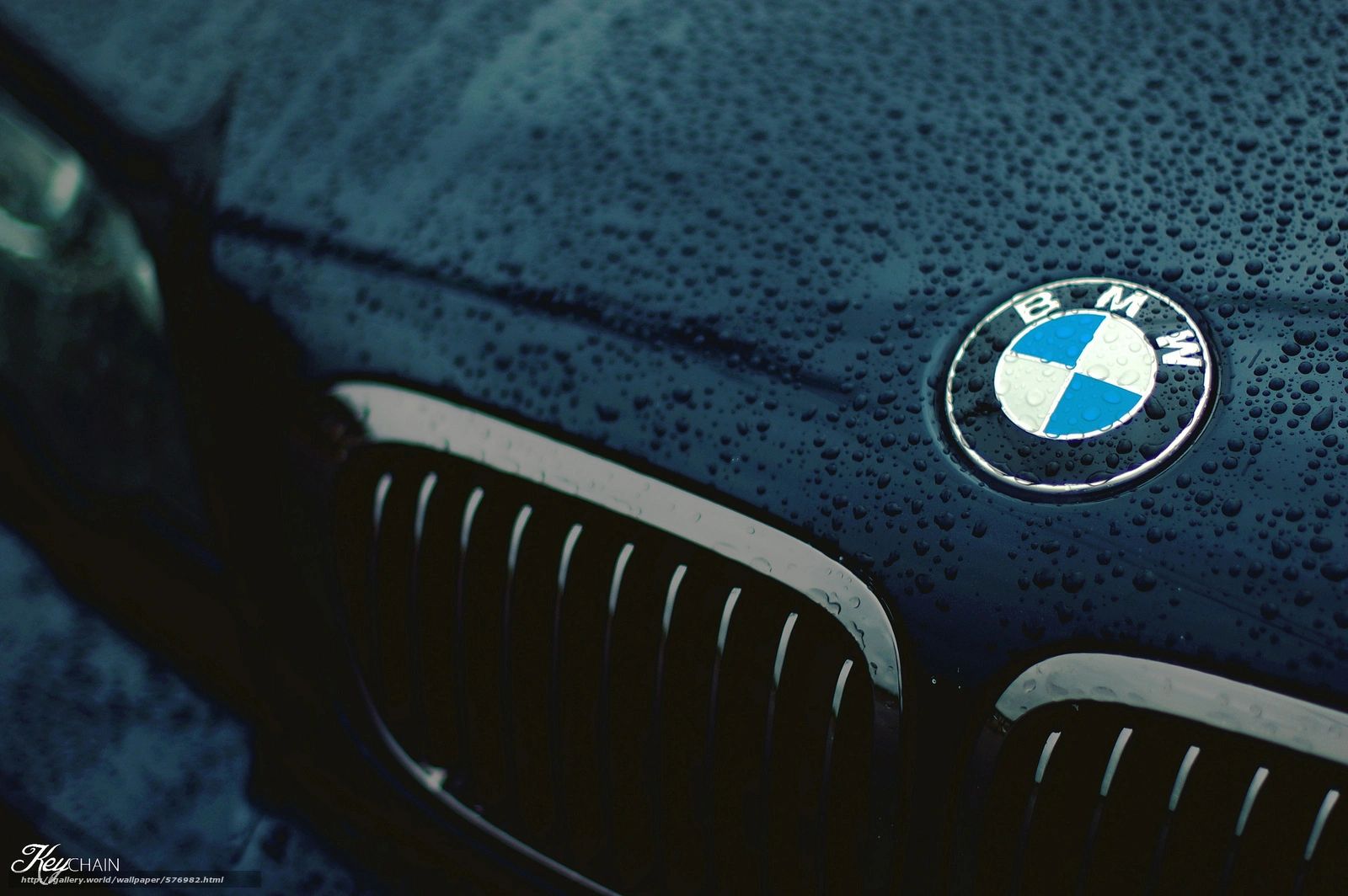 BMW hood logo